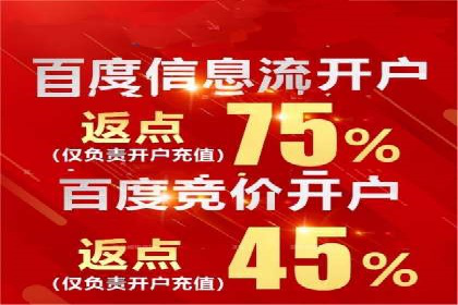 百度推广费用预算：案例分析及建议